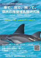 チラシ